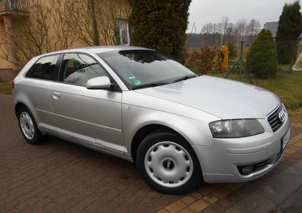 Audi A3 cena 11900 przebieg: 220000, rok produkcji 2004 z Kolbuszowa małe 407